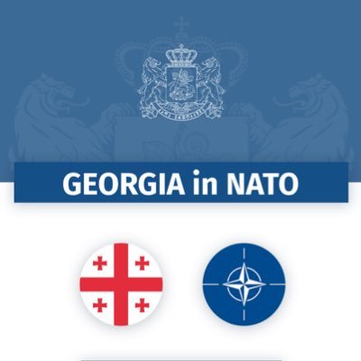 Official Twitter account of the Mission of Georgia to NATO 🇬🇪 Follow our Ambassador at @Dolidzevictor #WeAreNATO