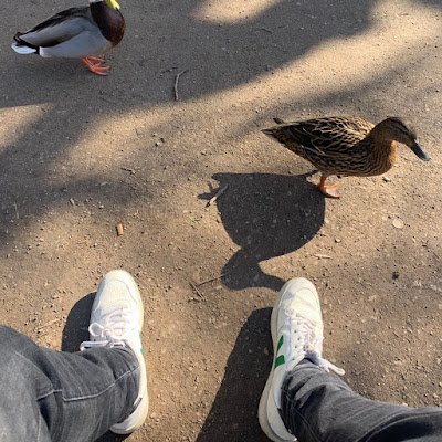 francisco_76905's profile picture. 💯💯💯💯💯💯 follow me / follow back 💯💯💯💯💯💯💯💯 #fb DEVE