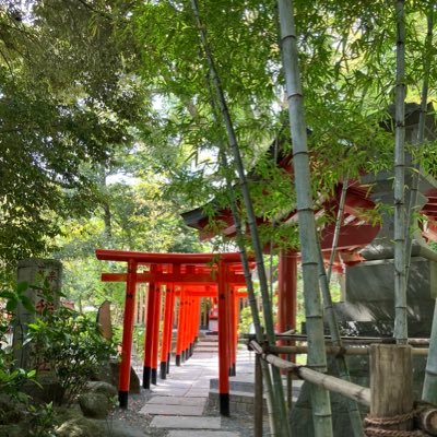 lemon_leocoffee's profile picture. 