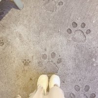 치하루 (@_____227_____) 's Twitter Profile