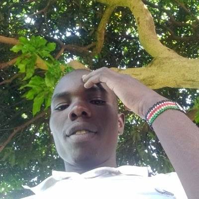 VincentWambani2's profile picture. Economist