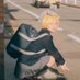 うり🐺 (@szsz_zszs) Twitter profile photo うり🐺 (@szsz_zszs) Twitter profile photo