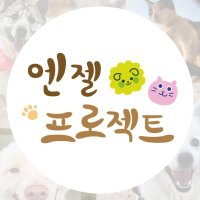 눈누난나❤(사)엔젤프로젝트 (@hyeyounkim3) 's Twitter Profile Photo 눈누난나❤(사)엔젤프로젝트 (@hyeyounkim3) 's Twitter Profile Photo