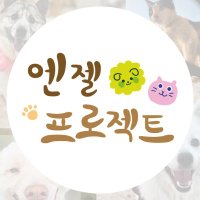 눈누난나❤(사)엔젤프로젝트(@Hyeyounkim3) 's Twitter Profile Photo