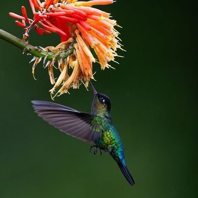 un pedacito de cielo