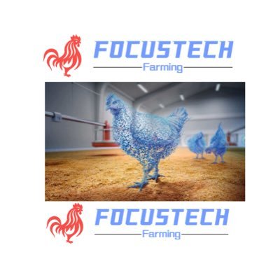 Poultry Integrated Projects Equipment for Broilers & Layers Storage Silos Installation Feed milling Plants Turn-key Projects