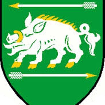 StonesStic55227's profile picture. 