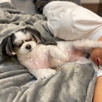 いなそ (@inzk0222) 's Twitter Profile