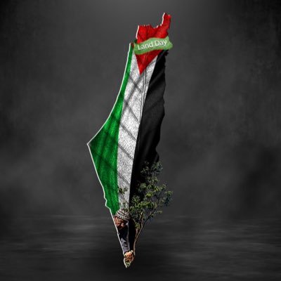 NWbandit_'s profile picture. How much longer will the world put up with this cruelty🇵🇸