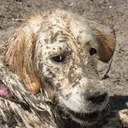 Robert Hansen - @robert_o_hansen - Twitter