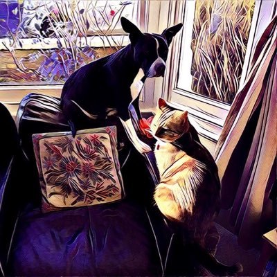 Saffroneey's profile picture. 