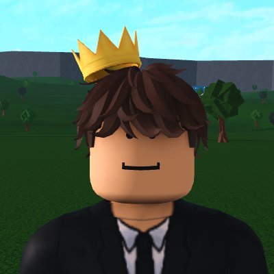 just a nugget that plays bloxburg | 16