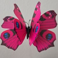mariposa en salsa rosa (@mariposa_salsa_) 's Twitter Profile