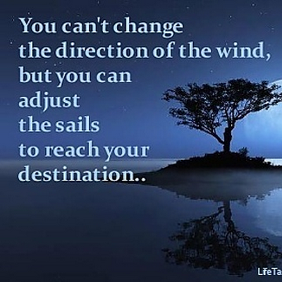 MSScienceDavis's profile picture. 