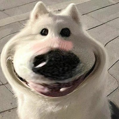 goodkaaQ's profile picture. วอร์ วนรัตน์ เอโย่วว 🫧💖🤏🏻@warwanarat.@yinyin_anw