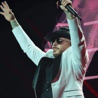 Pitbull DALE (@_pitbull_dale) 's Twitter Profile