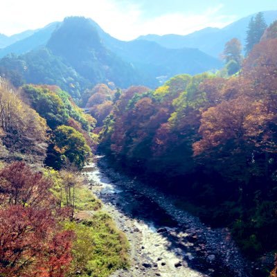 かふぇおれさんのプロフィール画像