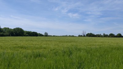 annashar_p's profile picture. 