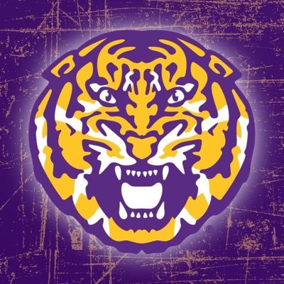 LSU Sports Fanatic. 🐯🐅 America First Patriot. Husband to a beautiful wife and father to 2 beautiful and smart young women. No DMs