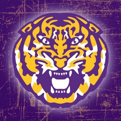 LSU Sports Fanatic living in Alabama 🐯🐅 America First Patriot. Husband to a beautiful wife and father to 2 beautiful and smart young women.