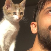 Layth ูููุซ (@ilaythdad) 's Twitter Profile Photo Layth ูููุซ (@ilaythdad) 's Twitter Profile Photo