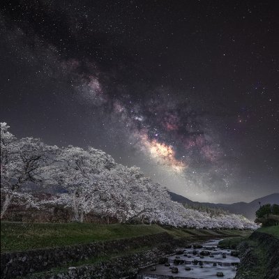 ▷関西から風景メインで撮影しています📸
▷絶景の中の星空を追いかけています🌌
▷🏞️/🏂/🌌/🚃/🏌‍♀️/⛩️/
▷📷Sony A7m4