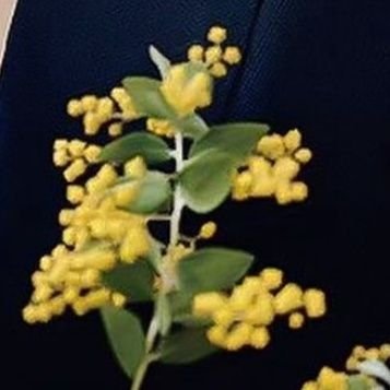 poepoe93245948's profile picture. 岸くん大好きiLYs😊💜❤️🩵
Number_i箱推し✨✨
💛🩶も応援してます😁
よろしくおねしゃす!!💜💜💜
アカウント復活出来ました！お騒がせしました🙇‍♀️
無言フォローも🆗です😊
毎日チェック出来ないのでフォロー頂いてもなかなかお返事できません❢ 
お許しください🙇‍♀️