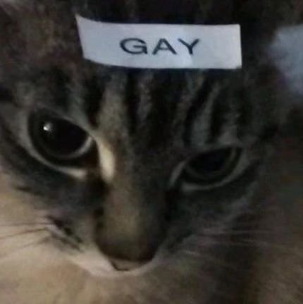 UnFantasm's profile picture. ahora conozco que la gente come helado de cono con cuchara  y mi vida se define en odiar a esas personas