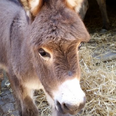 novaV8127928's profile picture. 