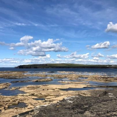 PalestOfThePale's profile picture. God Fearing, Freedom Loving, Critical Thinking, PureBlood, Free Speech Absolutist Woman. Wife, mum & general bad ass. #TLM #DoNotComply #UpTheBanner  #COYS