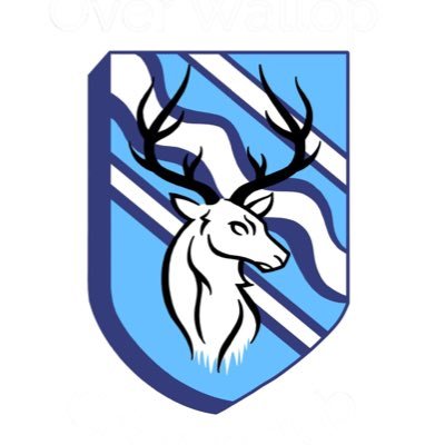 OverWallopCC's profile picture. As village as village gets…