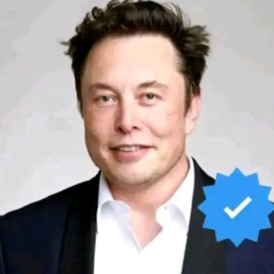 IM ELON MUSK THE CEO OF TESLA MOTORS 🚘 AND SPACE X 🚀