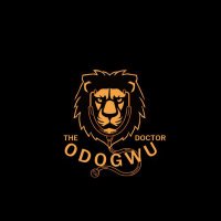 The Odogwu Doctor🦁✨(@OdogwuDoctor) 's Twitter Profile Photo