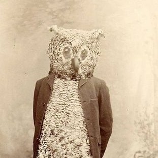 SaraSiSign2's profile picture. طالع بین
.
امور منزل
to subjugate terror
.
انسان شامبولیک
Triste y Desamparada
داستان‌نویس