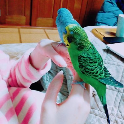Emi__chikachan's profile picture. 20↑ ⚔️「言いたくない」🥂✨「やりたくないことはさせたくない」で狂っちゃった