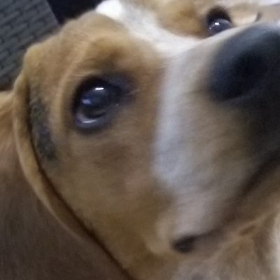 davopo's profile picture. 