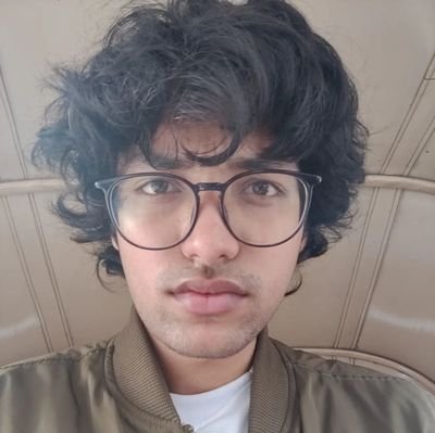 funnyhairNinad's profile picture. spurs fan and a boy.