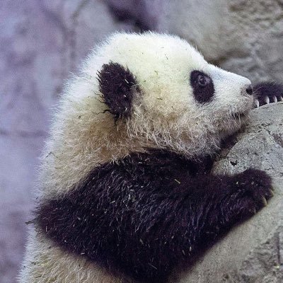 mgros2006's profile picture. 