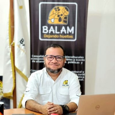 Director Ejecutivo en Asociacion Balam ONG