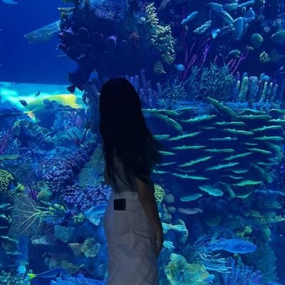 lilithplt's profile picture. 