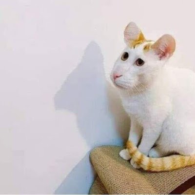 DaniMurphy44102's profile picture. 