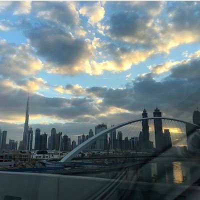 Shani491174's profile picture. 