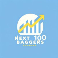 Next 100 Baggers(@Next100Baggers) 's Twitter Profile Photo