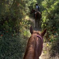 Asmaa (@asamir3012) Twitter profile photo