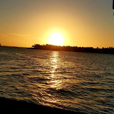 17Moose17's profile picture. 