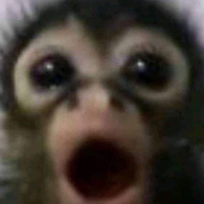 hwangpaikhaseyo's profile picture. 