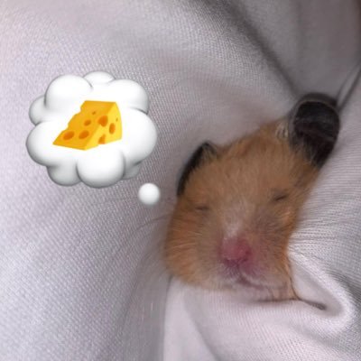 kimgyuvinfan's profile picture. •̀.•́