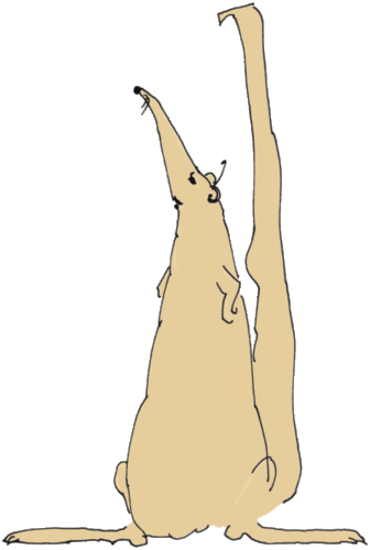 bearkat65's profile picture. Vocally Women's Lib, Liberal & proud of it. Passionate about family, sculpting, animals, the environment & BOOKS. Utterly disgusted wt Republican duplicity!