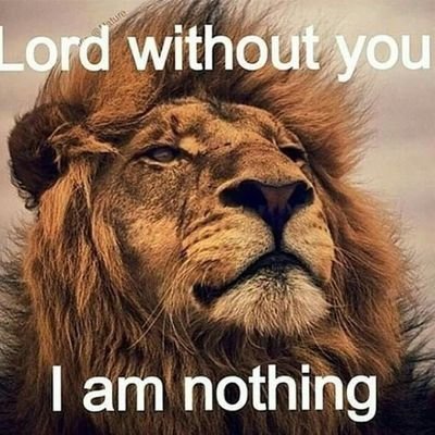 He neither slumbers nor sleeps
Psalm 121:4 scriptures & worship&praise songs various artists that uplift Jesus 🙌 God is faithful. No email requests for money