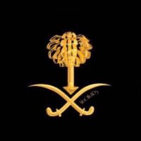 عاشق.الليل🎑🛻 و🐅 (@talal00775) 's Twitter Profile
